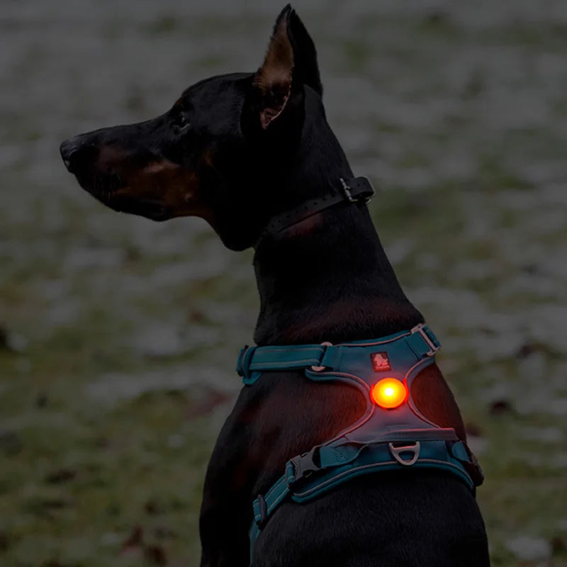 Truelove Waterproof Dog Led Lights Usb Charge Pet
