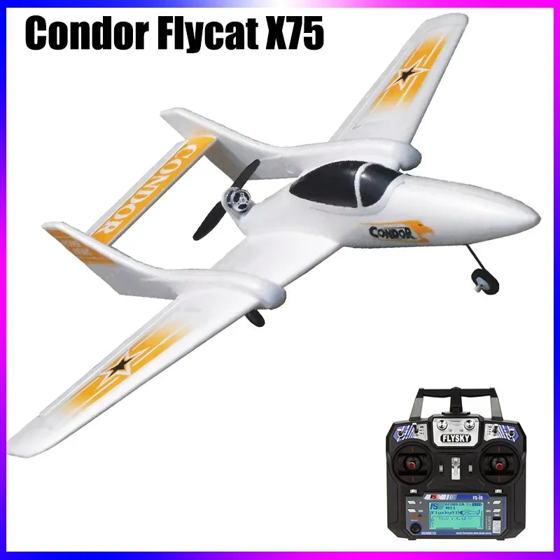 Epo Rc Plane Rc Airplane Model Hobby Sd