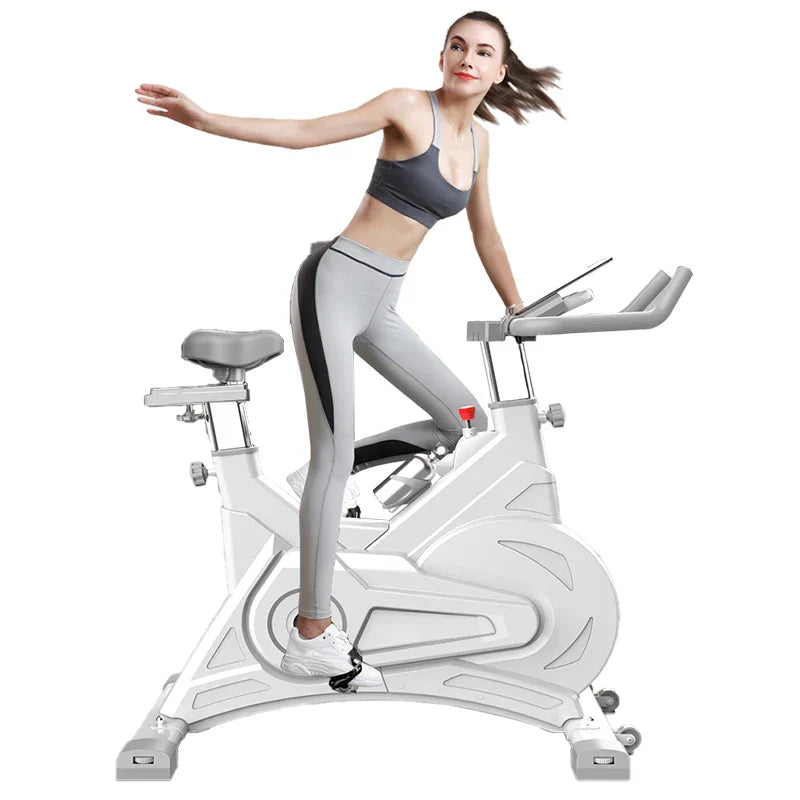 Professional Indoor Cycling Iron Fitness Magnetic Spin Bike