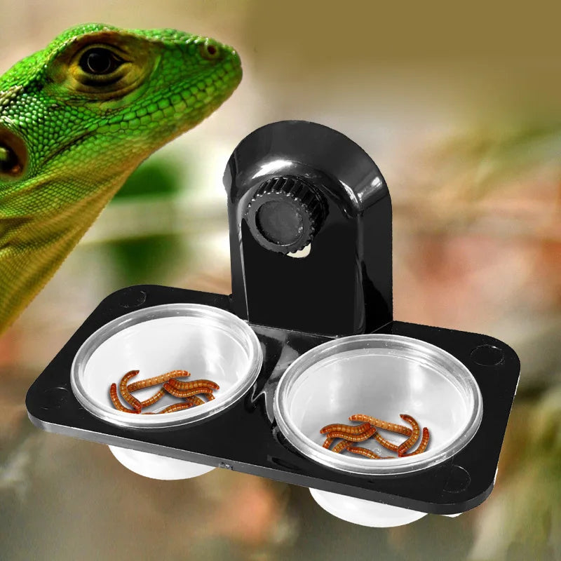 1* Reptile Tank Insect Spider Ants Nest Snake
