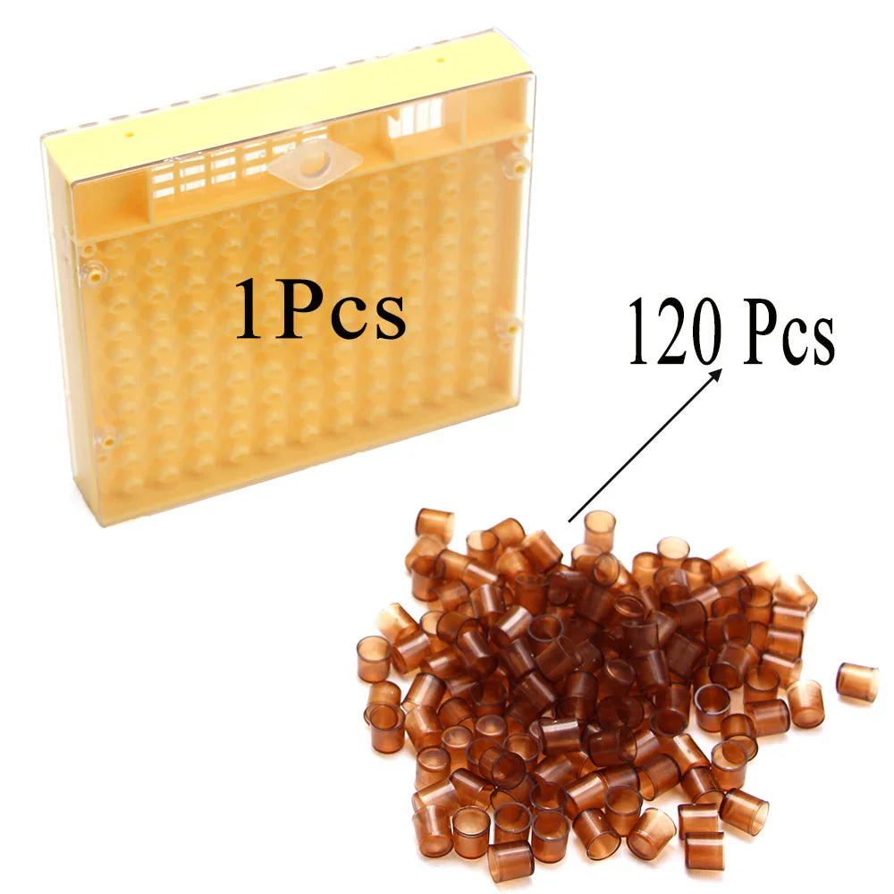 Complete Queen Rearing System Kit King Cultivating Box