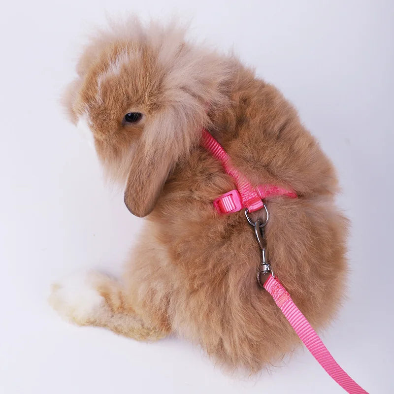 Pet Nylon Rabbit Harness Collar Leash Adjustable Vest