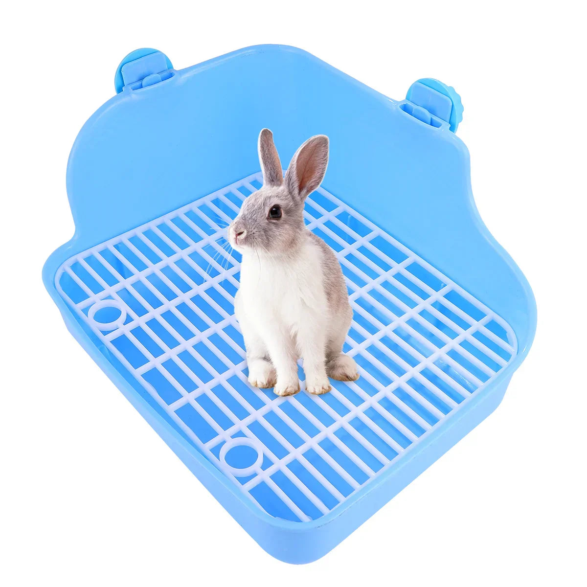 Hamster Rabbit Square Toilet Bowl Litter & Housebreaking