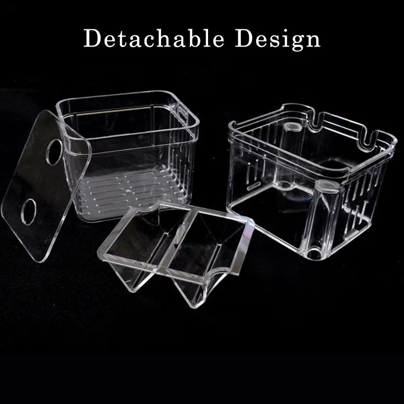 Double-Deck Clear Fish Breeding Isolation Box Aquarium Breeder