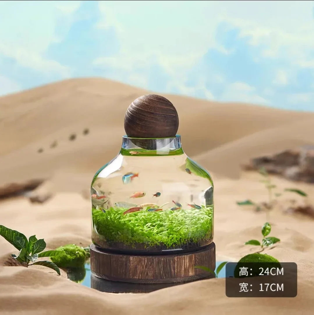 Ecological Bottle Micro Landscape Glass Ecological Fish Tank