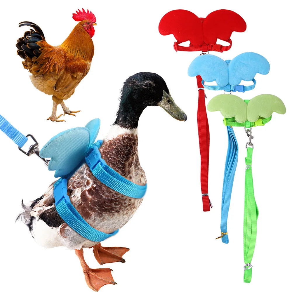 Hamster Rabbit Angel Wings Harness Leash Collar Chest