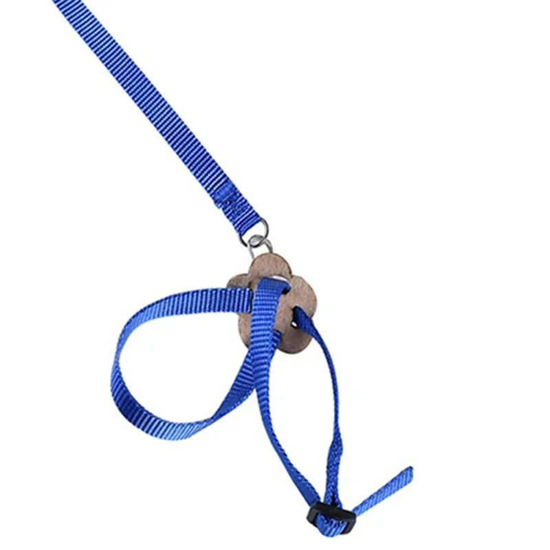 Adjustable Pet Parrot Traction Strap Anti-bite Training Rope