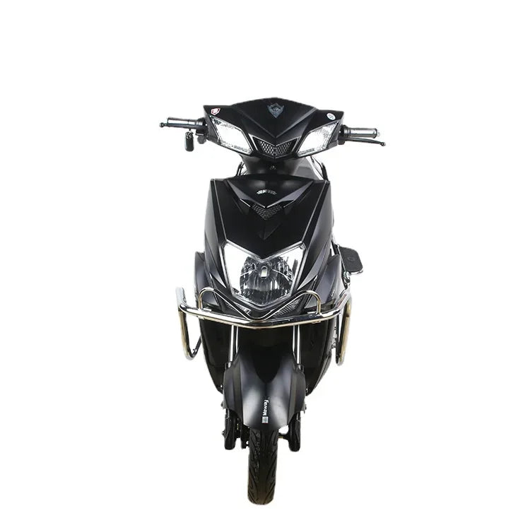 Hot Selling 1000w 60V Leader Two Wheels Adult