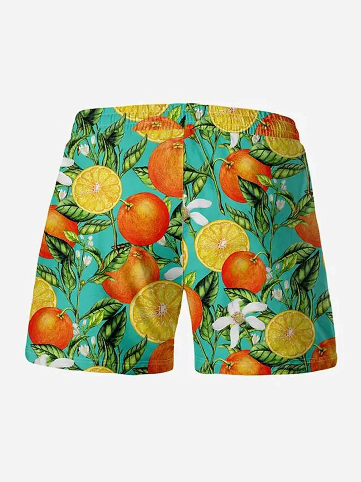 Men's Board Shorts Swim Shorts Swim Trunks Summer