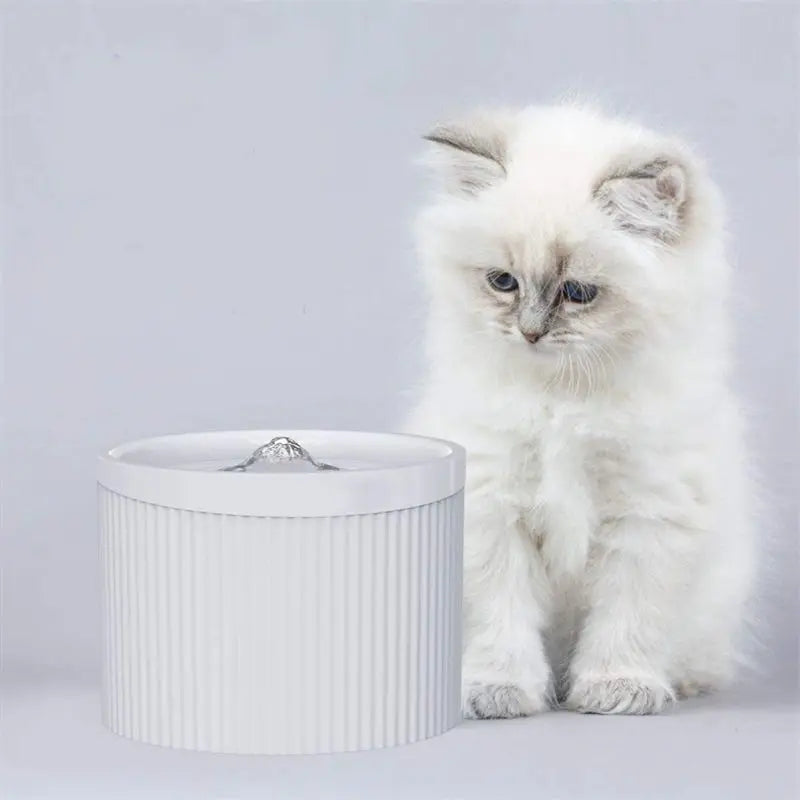 Cats Automatic Water Dispenser Bowls Feeding & Watering
