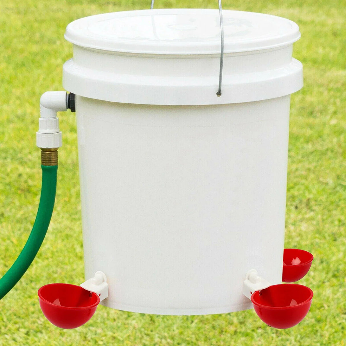 Chicken Automatic Watering Cup Poultry Drinker Chicken Quail