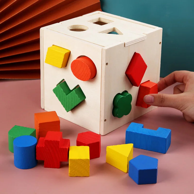 Montessori Hole Intelligence Box Geometric Shapes 3D Puzzle