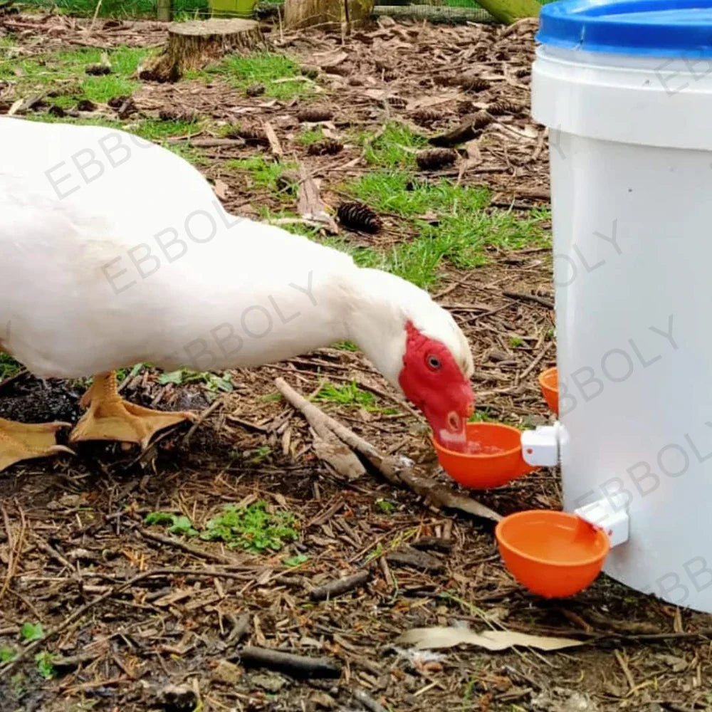 12/20/30PCS Automatic Chicken Water Feeder Drinking Cups Poultry