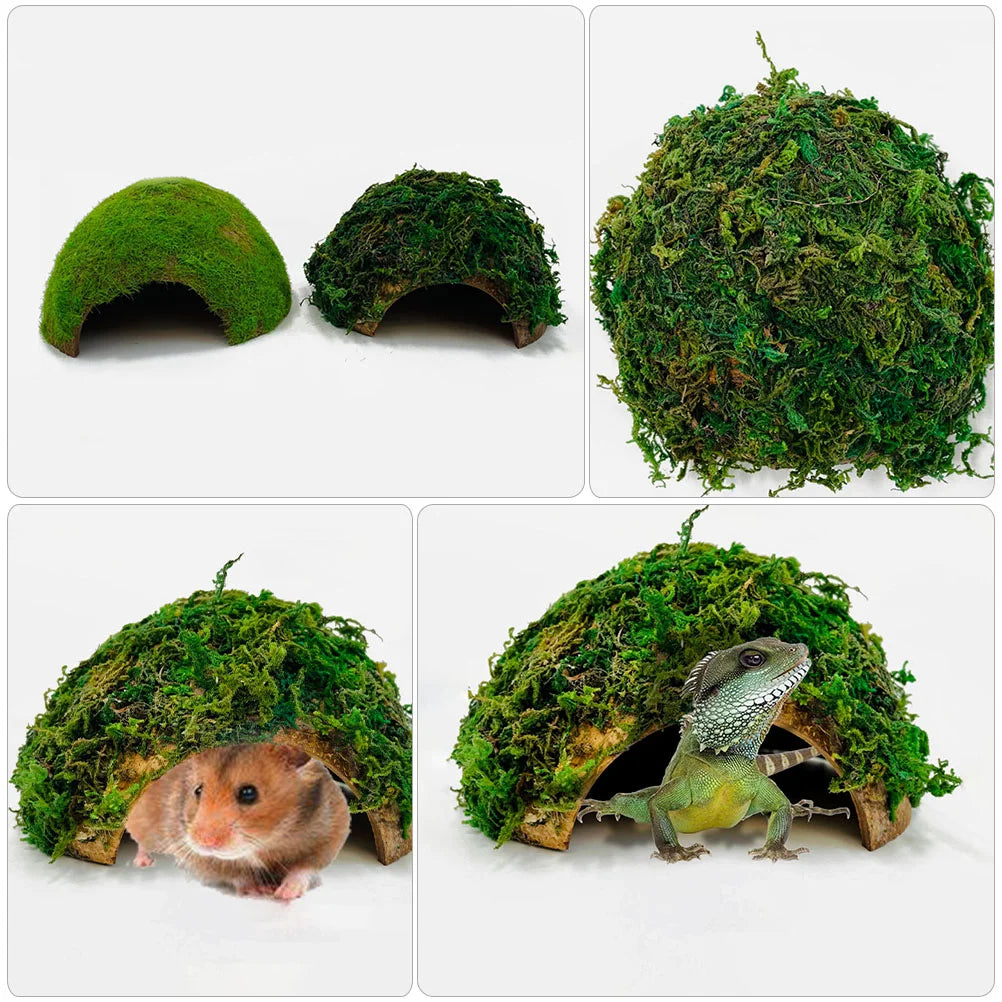 Reptile Hideout House Terrarium Tank Hamster Shelter Tortoise
