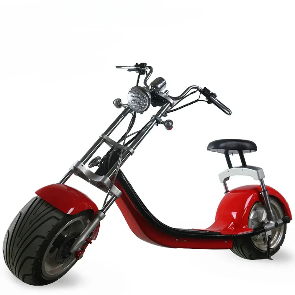 Netherlands warehouse fat tire electric citycoco scooter atv