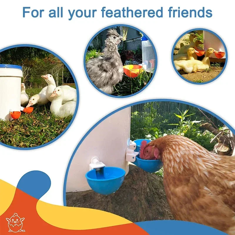 5/10PCS Automatic Chicken Water Feeder Drinking Cups Poultry