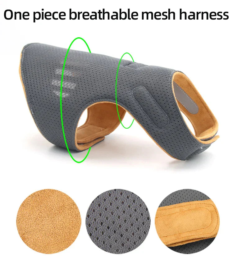 Exclusive Design Of Soft AND Comfortable Suede Pet