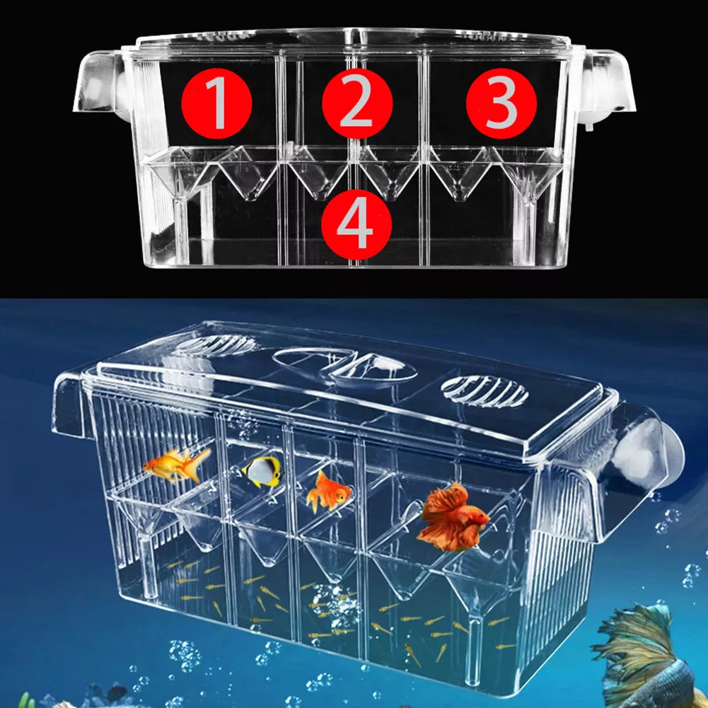 Aquarium Breeding Incubator Isolation Box Double Layer 4