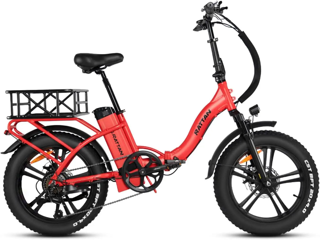 Electric Bike for Adults,750W 48V 13AH Removable Battery