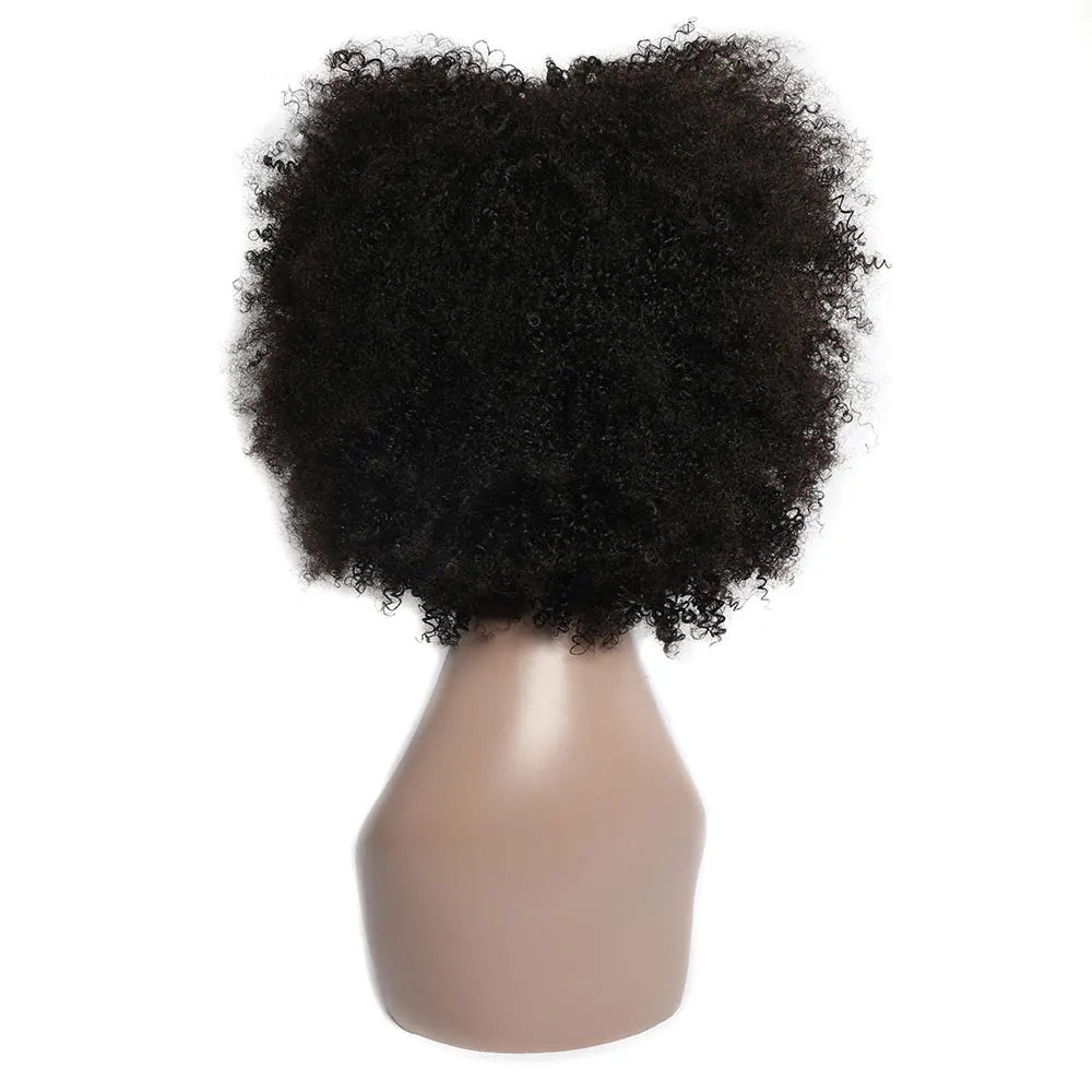 Short Curly Human Hair wigs for Black Women