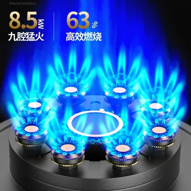 8.5KW Dual Household Embedded Natural Liquefied Timing Fierce