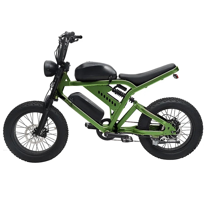 Super Power Electric Motorcycles 48V Electric Bike Motorbike