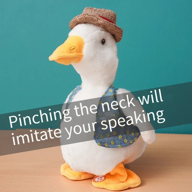 Repeated Ducks Kids Lovely Talking Repeat Duck Talking