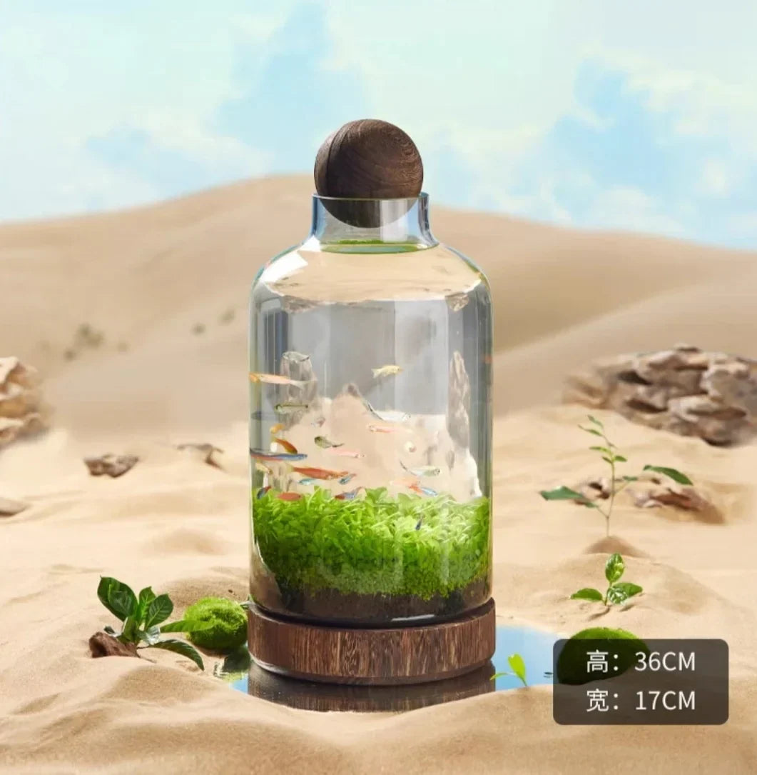 Ecological Bottle Micro Landscape Glass Ecological Fish Tank