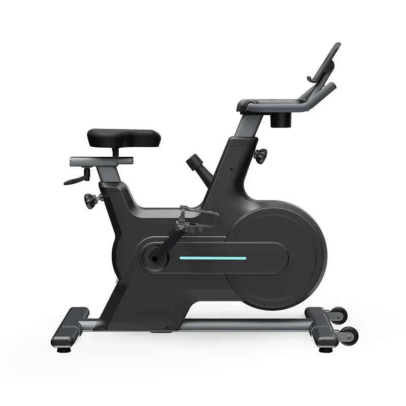 Professional Indoor Cycling Iron Fitness Magnetic Spin Bike