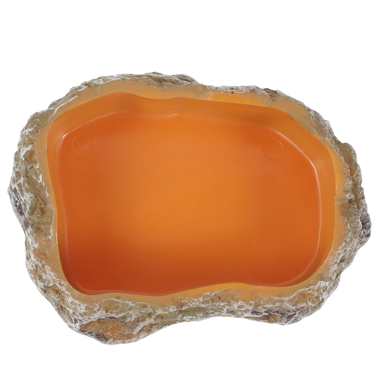 Pet Feeding Bowl Resin Reptile Food Holder Supply