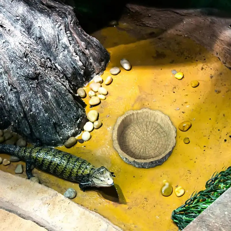 Reptile Water Dish Resin Pet Bow Amphibian Reptile