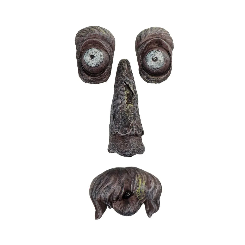 Bark Ghost Face Facial Features Old Man Tree