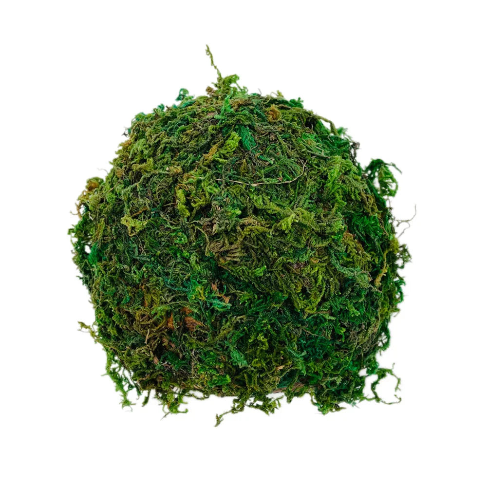 Reptile Hideout House Hamster Turtle Habitat Shelter Terrarium
