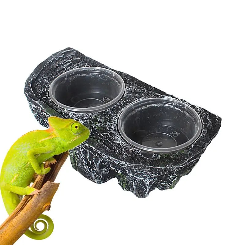 Reptile Food And Water Feeder Reptile Food Dish