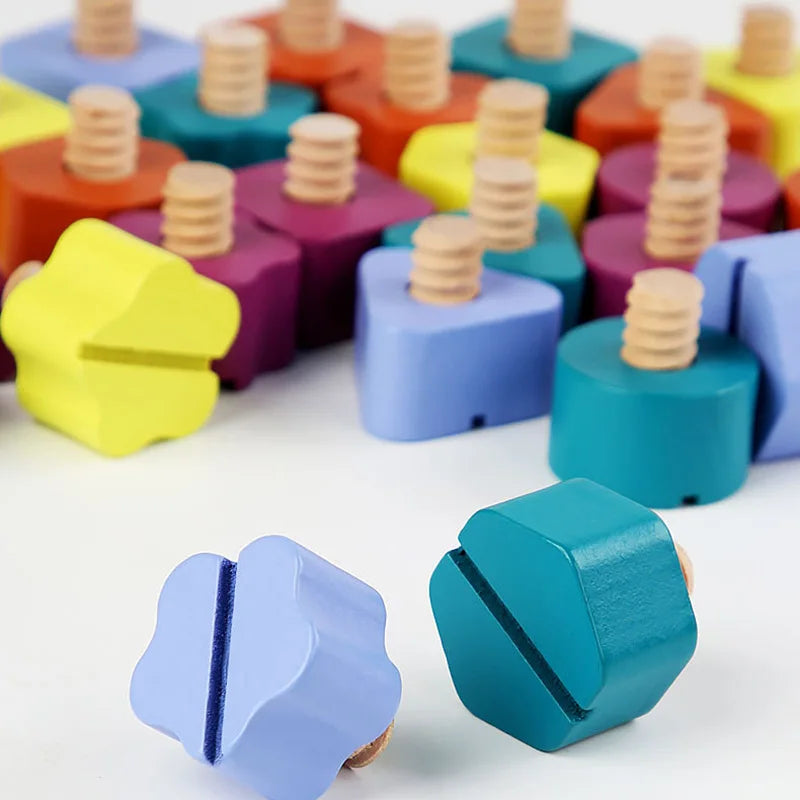 Children Wooden Screw Nut Disassembly Shape Color Matching