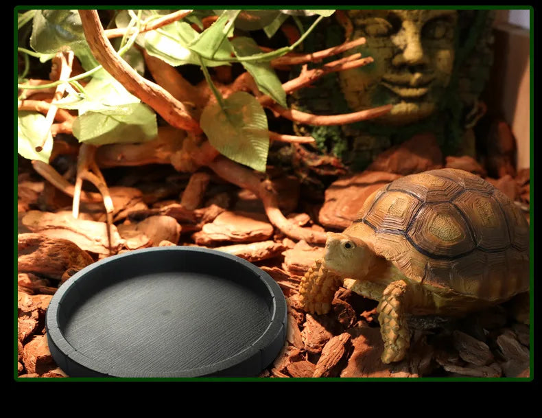 Reptile Bowls Terrarium Feeding Worm Dish Reptile Mealworm