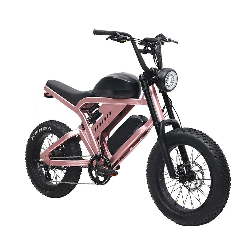 Super Power Electric Motorcycles 48V Electric Bike Motorbike