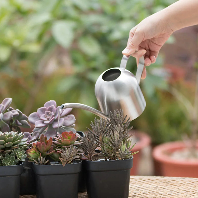 Stainless Steel Watering Pot Garden Plant Flower Long