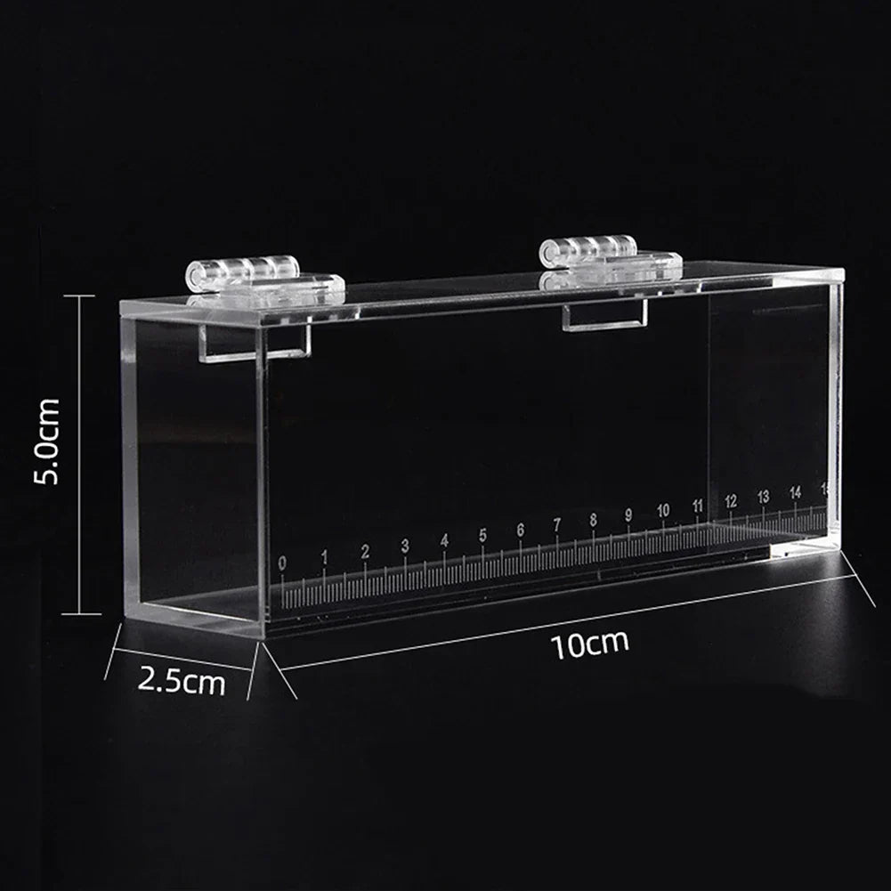 Fish Viewing Box Acrylic Material Isolation Box Betta