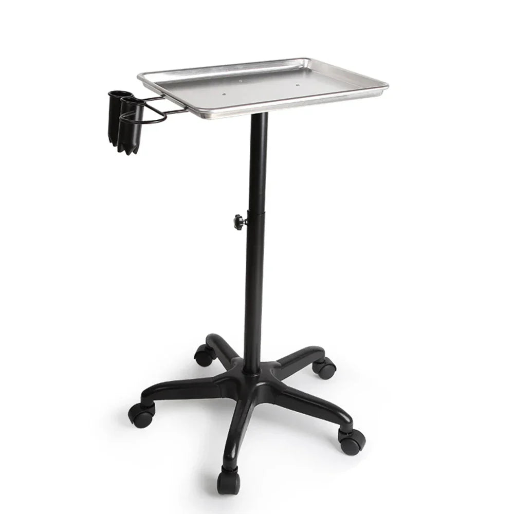 Salon Spa Beauty Tattoo Metal Silver Rolling Service