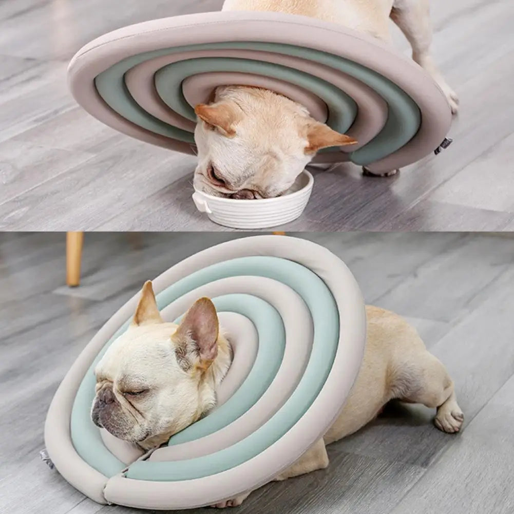 Pet Cat Surgery Wound Collar Healing Protective Cone
