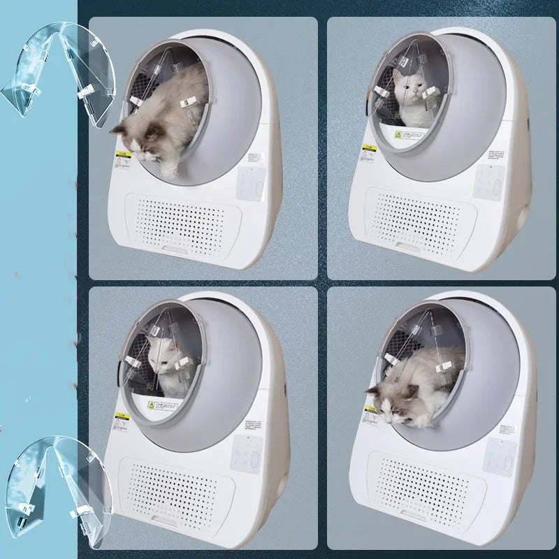 Transparent Anti-sand Curtain Deodorant Door Accessories for Catlink