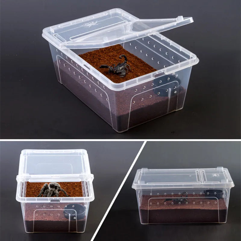 Large Terrarium Reptile Feeding Box with Bowl Lizard