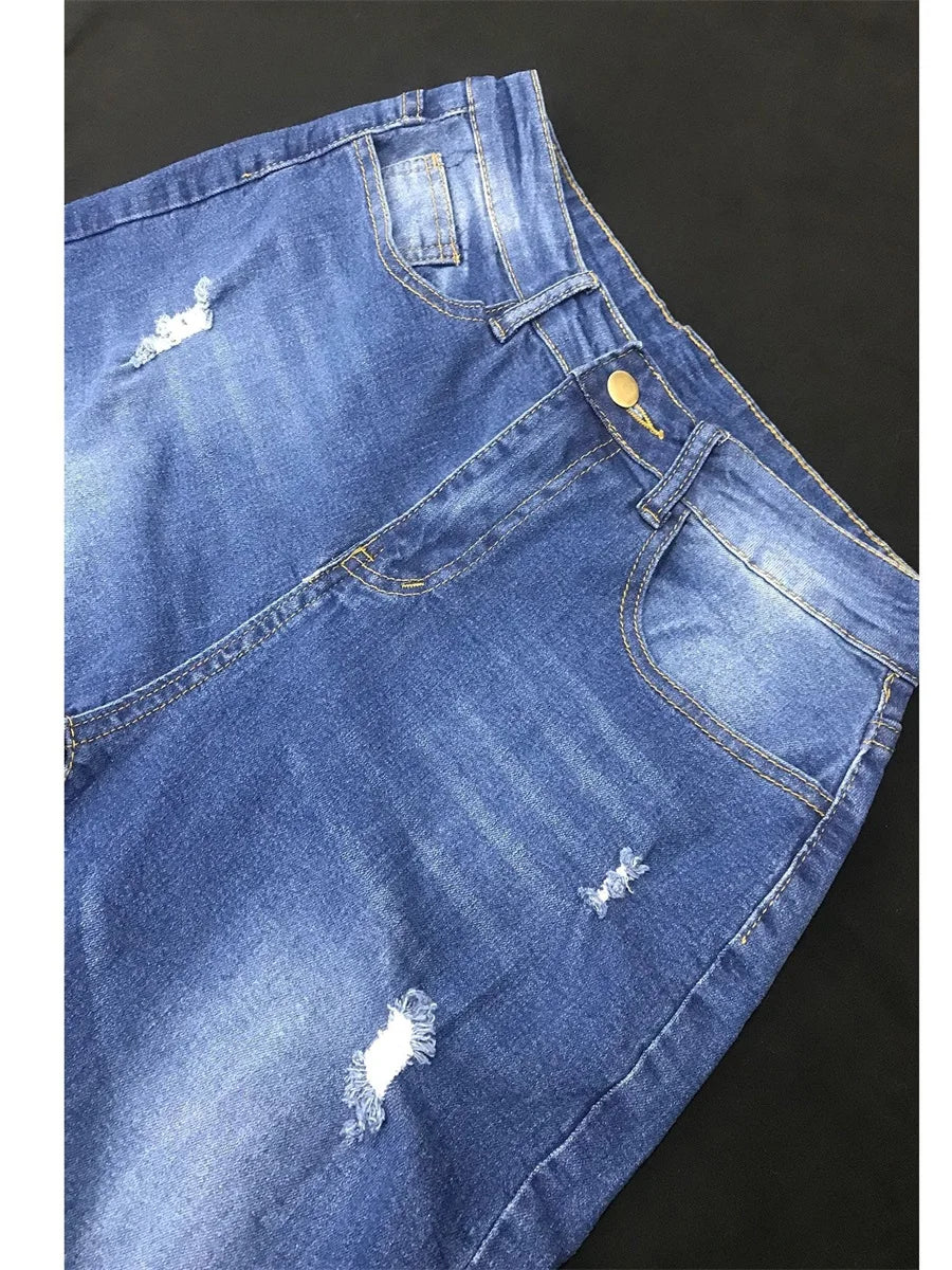 LW Plus Size Highwaisted Ripped Jeans Zipper Fly