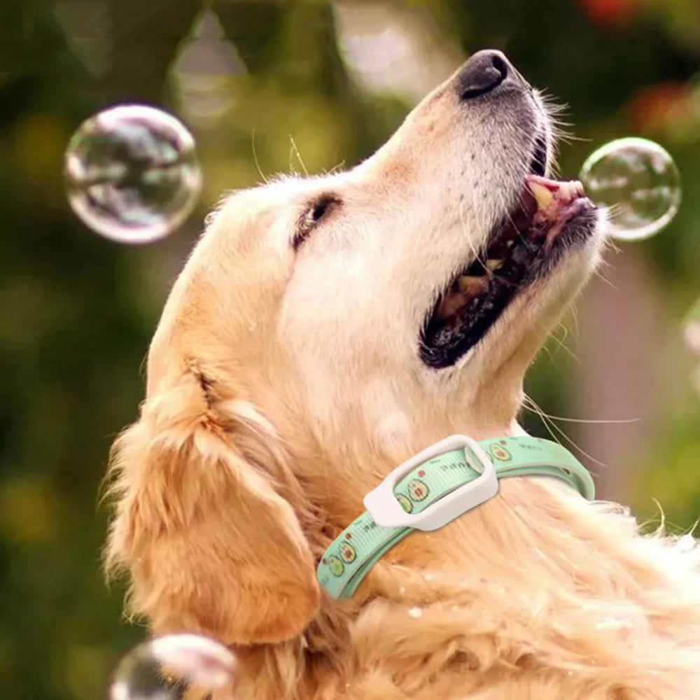 Dog Anti Flea and Tick Cat Collar 6