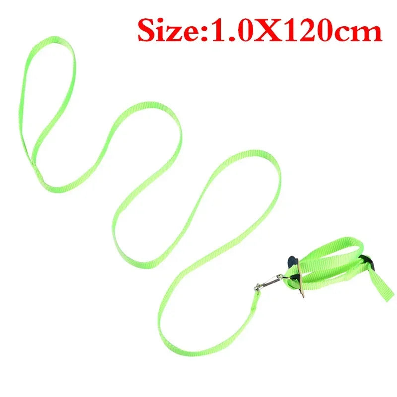 Adjustable Pet Parrot Traction Strap Anti-bite Training Rope