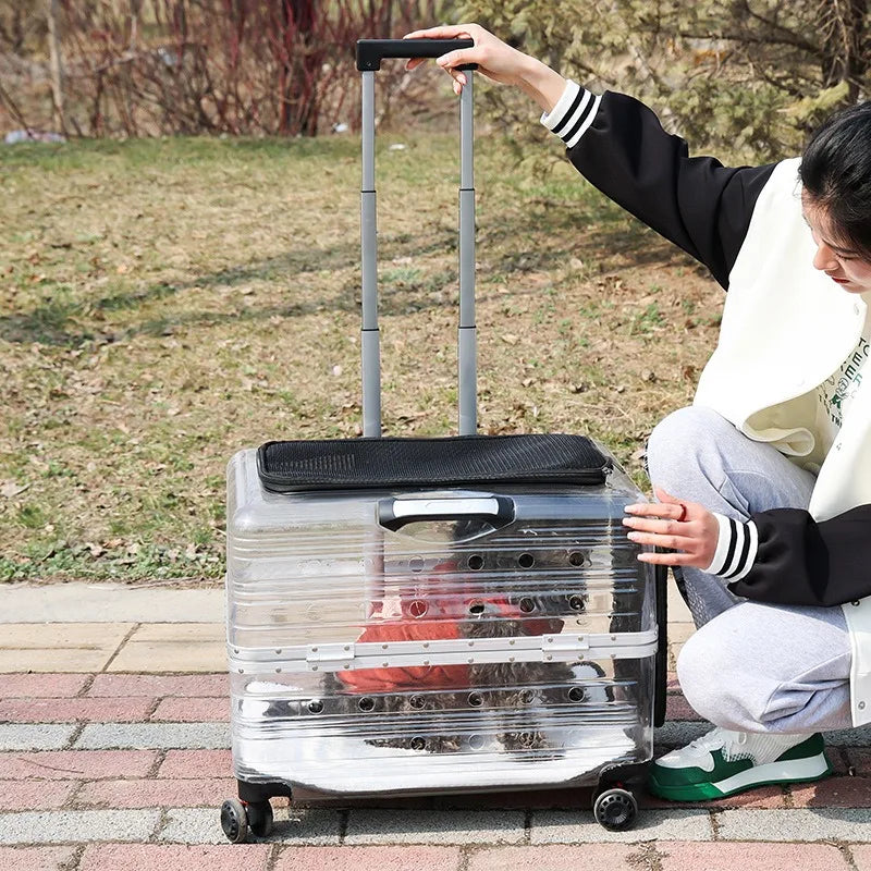 Pet Trolley Bag Case Carrier for Cats Expands