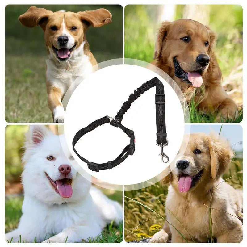 Pet Car Seat Belt 360 Degree Dog Harness