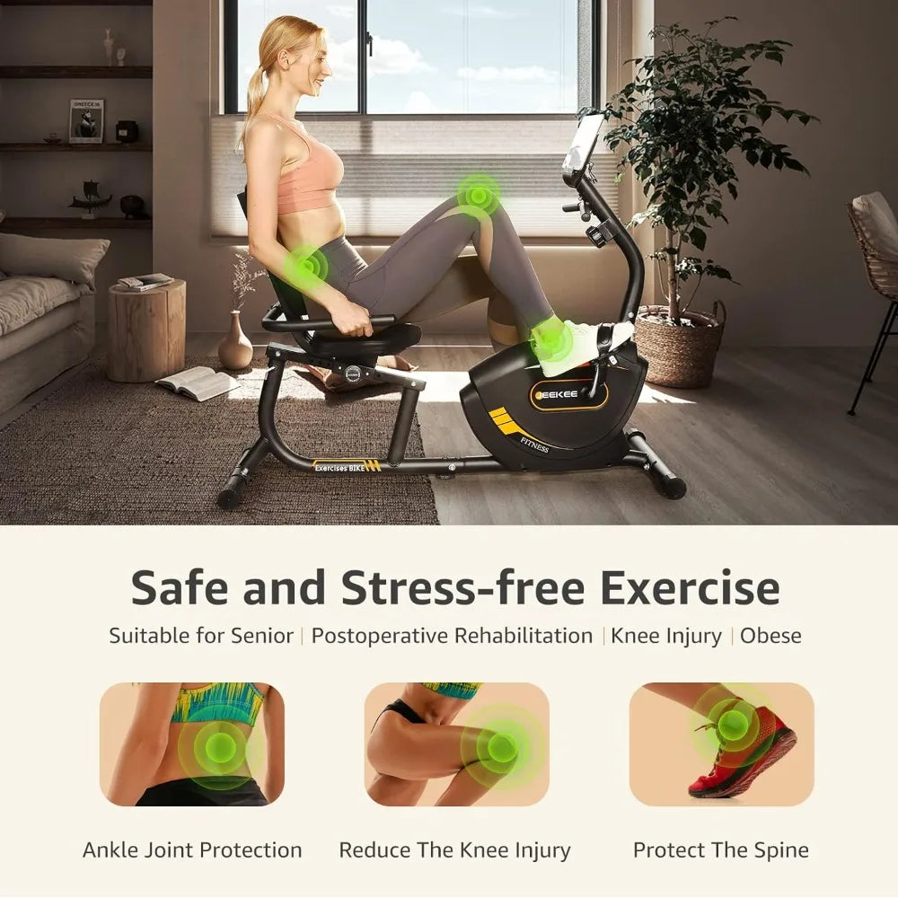 Recumbent Exercise Bike for Adults Seniors - Indoor Magnetic Cycling Fitness Equipment for Home Workout Black,Sports
