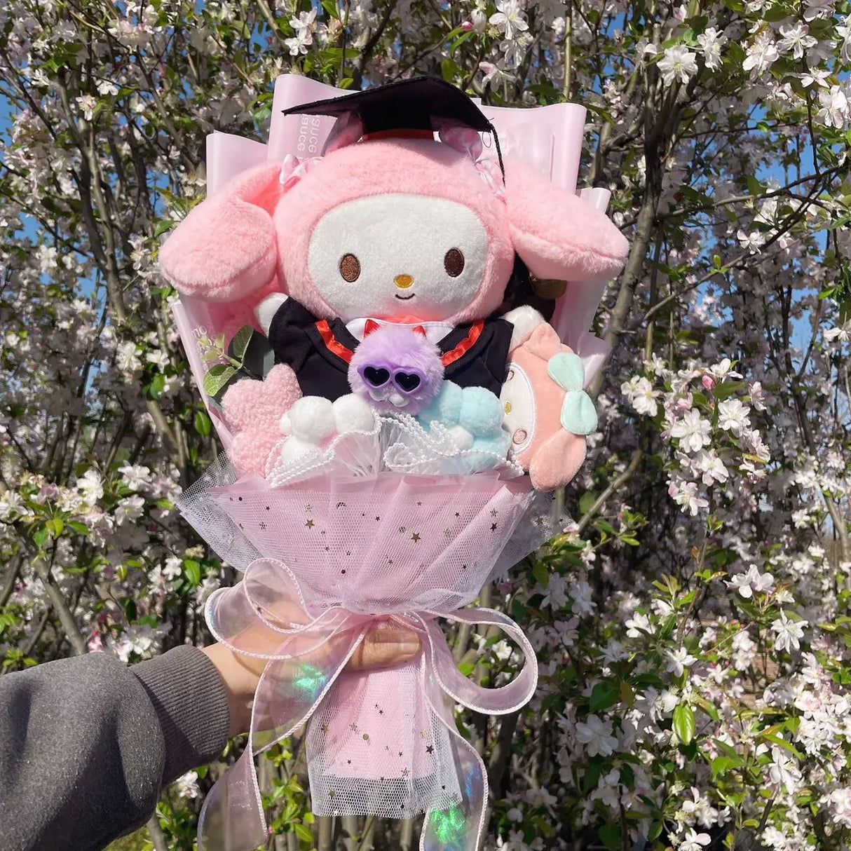 Cartoon My Melody Kuromi Cinnamoroll With graduation hats